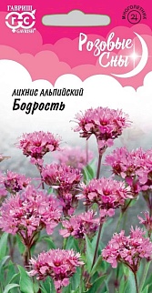 Лихнис альпийский Бодрость, 0,05 г. Розовые сны