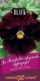 Виола Махровое кружево бургунди F1, 4 шт. Black