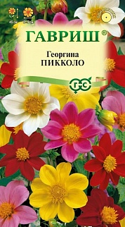 Георгина Пикколо, смесь, 0,3 г 