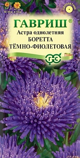 Астра Боретта темно-фиолетовая, принцесса, 0,3 г 
