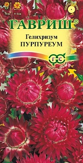 Гелихризум Пурпуреум, 0,2 г 