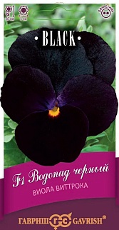 Семена Виола Водопад черный F1, ампельная Виттрока Анютины глазки), 5 шт. Black.