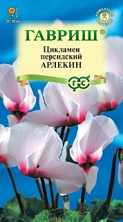 Цикламен Арлекин персидский, 3 шт.