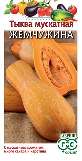 Тыква Жемчужина мускатная, 1 г