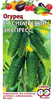 Огурец Сибирский экспресс F1, 10 шт.