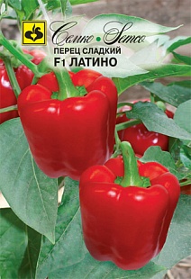 Перец сладкий Латино F1, 5 шт.