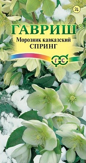 Морозник Спринг лимонно-зеленый восточный (кавказский)х 0,1 г DHп