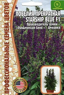 Лобелия многолетняя прекрасная, Starship blue F1, 5 шт.