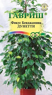 Фикус Бенджамина Дунетти, 0,01 г