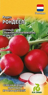 Редис Рондеел, 1 г. Голландия.