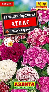 Гвоздика Балерина махровая, смесь окрасок, 0,1 г