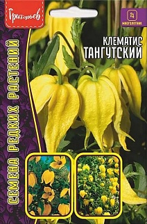 Клематис Тангутский "Clematis tangutica", 10 шт.