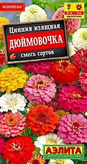 Цинния изящная Дюймовочка смесь окрасок, 0,3 г