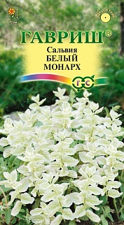 Сальвия хорминум Белый Монарх, 0,05 г