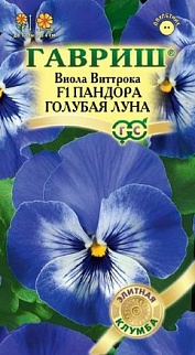 Виола Пандора голубая луна F1, 5шт.Элитная клумба.