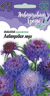 Скабиоза пурпурная Лавандовая Леди, 0,2 г.
