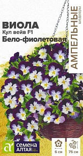 Виола Кул Вейв Бело-фиолетовая F1, ампельная, 3 шт. Ампельные Шедевры