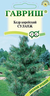 Кедр корейский Суланж, 3 шт. Лесной уголок.