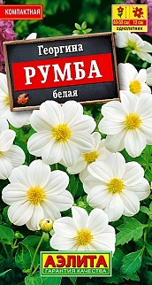Георгина Румба белая, 0,3 г