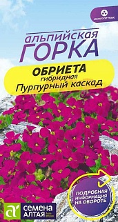 Обриета Пурпурный каскад, 0,03 г. Альпийская горка