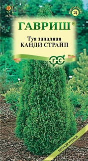 Туя западная Канди страйп, 0,05 г. Лесной уголок.