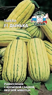 Тыква Дынька F1, 1 г
