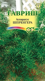 Аспарагус Шпренгера, 4 шт.