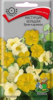 Настурция большая Крем — карамель, 1 г