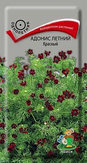 Адонис летний Красный, 0,3 г