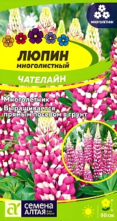 Люпин Чателайн, многолетник, 0,3 г 