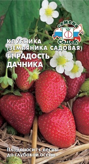 Земляника садовая Радость дачника F1, 15 шт.