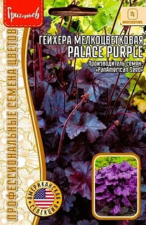 Гейхера Palace Purple мелкоцветковая PanAm, 10 шт.