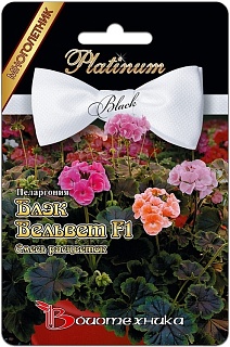 Пеларгония Блэк Вельвет F1, смесь, 5 шт. Black Platinum Биотехника