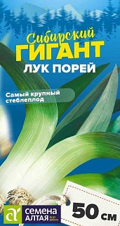 Лук Порей Сибирский Гигант, 1 г  Сибирские гиганты