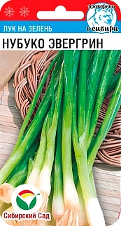 Лук На зелень Нубуко Эвергрин, 0,5 г. Сибирский сад.