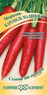 Морковь Карамель малиновая, 150 шт. Авторские семена.