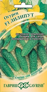 Огурец Лилипут F1, 10 шт. Авторские семена.