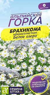 Брахикома Белое озеро, 0,05 г Альпийская горка