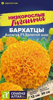 Бархатцы Тайшан Оранжевые, 5 шт. Низкорослые гиганты