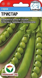 Горох Тристар, 20 шт. Сибирский сад.