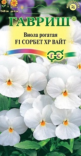 Виола рогатая Сорбет XP Вайт F1, 4 шт. 