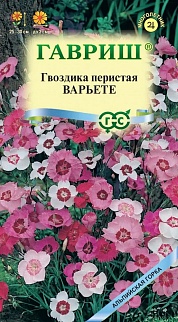 Гвоздика перистая Варьете, смесь, 0,2 г. Альпийская горка.