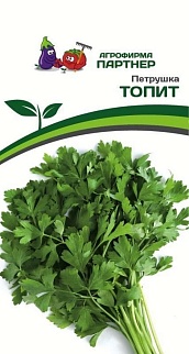 Петрушка Топит, 2 г. Агрофирма Партнер.