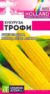 Кукуруза Трофи, 2 г Голландские Семена