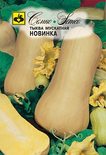 Тыква мускатная, 10 шт. Семко