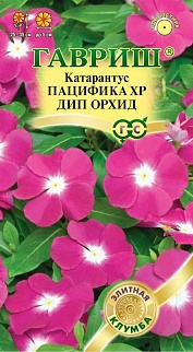 Катарантус Пацифика XP Дип Орхид, 7 шт.