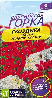 Гвоздика многолетняя травянка Ночной Костер, 0,1 г. Альпийская горка