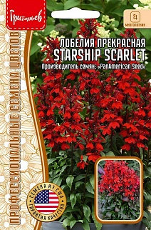 Лобелия Starship Scarlet прекрасная, 3 шт.