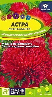 Астра Гигантские лучи Красная, 0,2 г