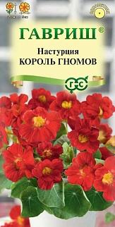 Настурция Король гномов, 1 г